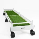 Royal Plant Caddy 4 Pot
