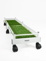 Royal Plant Caddy 4 Pot