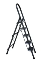 Unicorn MS Ladder